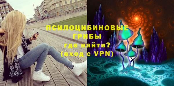 ПСИЛОЦИБИНОВЫЕ ГРИБЫ Армянск