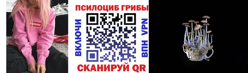 мега как зайти  купить закладку  Пролетарск  Галлюциногенные грибы мухоморы 