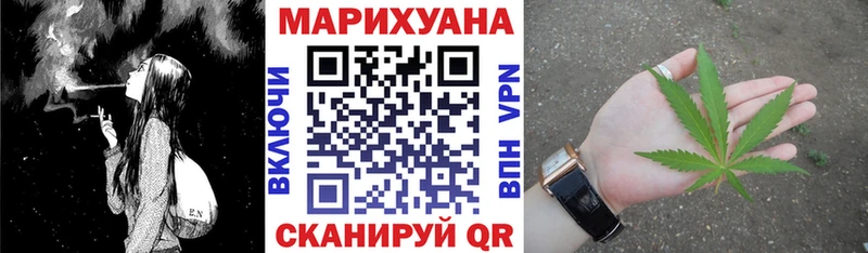 закладка  Пролетарск  Бошки марихуана конопля 